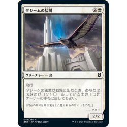 画像1: 【JPN】タジームの猛禽/Tazeem Raptor[MTG_ZNR_043C]