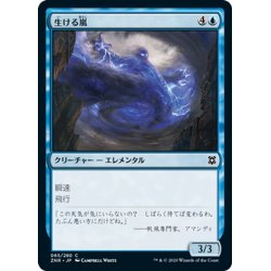 画像1: 【JPN】生ける嵐/Living Tempest[MTG_ZNR_065C]