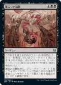 【JPN】墓入りの妨害/Thwart the Grave[MTG_ZNR_130U]