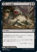 【JPN】ゾフの消耗/ゾフの血溜まり/Zof Consumption/Zof Bloodbog[MTG_ZNR_132U]