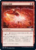 【JPN】燃えがら地獄/Cinderclasm[MTG_ZNR_136U]