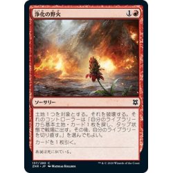 画像1: 【JPN】浄化の野火/Cleansing Wildfire[MTG_ZNR_137C]