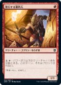 【JPN】密行する案内人/Sneaking Guide[MTG_ZNR_164C]