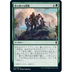 画像1: 【JPN】待ち受ける冒険/Adventure Awaits[MTG_ZNR_177C]