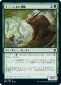 【JPN】ナーリッドの群棲/Gnarlid Colony[MTG_ZNR_185C]