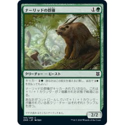 画像1: 【JPN】ナーリッドの群棲/Gnarlid Colony[MTG_ZNR_185C]