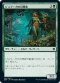 【JPN】ジョラーガの幻想家/Joraga Visionary[MTG_ZNR_188C]