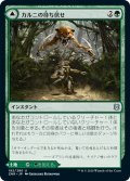 【JPN】カルニの待ち伏せ/カルニの領域/Khalni Ambush/Khalni Territory[MTG_ZNR_192U]