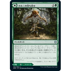 画像1: 【JPN】カルニの待ち伏せ/カルニの領域/Khalni Ambush/Khalni Territory[MTG_ZNR_192U]