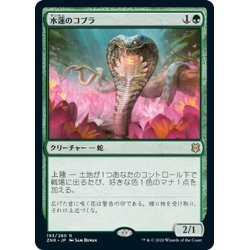 画像1: 【JPN】★Foil★水蓮のコブラ/Lotus Cobra[MTG_ZNR_193R]