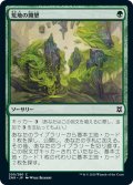 【JPN】荒地の開墾/Reclaim the Wastes[MTG_ZNR_200C]