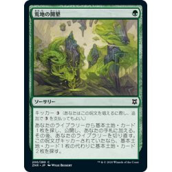 画像1: 【JPN】荒地の開墾/Reclaim the Wastes[MTG_ZNR_200C]