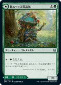 【JPN】絡みつく花面晶体/絡み谷/Tangled Florahedron/Tangled Vale[MTG_ZNR_211U]