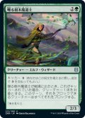 【JPN】嘲る樹木魔道士/Taunting Arbormage[MTG_ZNR_212U]