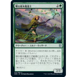 画像1: 【JPN】嘲る樹木魔道士/Taunting Arbormage[MTG_ZNR_212U]