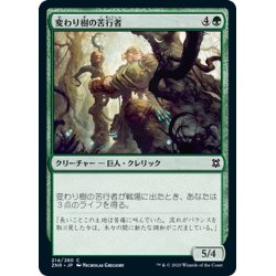 画像1: 【JPN】変わり樹の苦行者/Turntimber Ascetic[MTG_ZNR_214C]