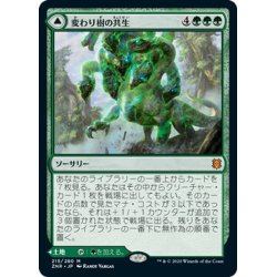 画像1: 【JPN】変わり樹の共生/うねる森、変わり樹/Turntimber Symbiosis/Turntimber, Serpentine Wood[MTG_ZNR_215M]