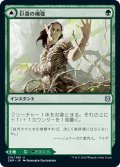 【JPN】巨森の補強/巨森の茂み/Vastwood Fortification/Vastwood Thicket[MTG_ZNR_216U]