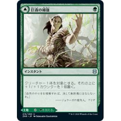 画像1: 【JPN】巨森の補強/巨森の茂み/Vastwood Fortification/Vastwood Thicket[MTG_ZNR_216U]