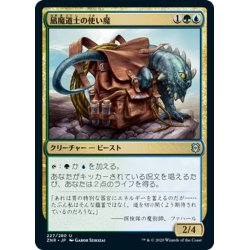 画像1: 【JPN】凪魔道士の使い魔/Lullmage's Familiar[MTG_ZNR_227U]