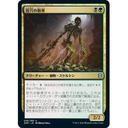 画像1: 【JPN】苔穴の骸骨/Moss-Pit Skeleton[MTG_ZNR_228U]