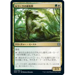 画像1: 【JPN】ムラーサの根食獣/Murasa Rootgrazer[MTG_ZNR_229U]