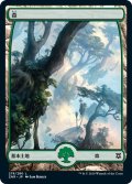 【JPN】★Foil★森/Forest[MTG_ZNR_278L]