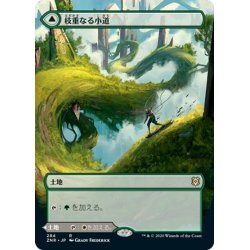 画像1: 【JPN】枝重なる小道/石重なる小道/Branchloft Pathway/Boulderloft Pathway[MTG_ZNR_284R]