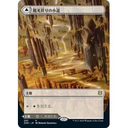 画像1: 【JPN】陽光昇りの小道/恐怖昇りの小道/Brightclimb Pathway/Grimclimb Pathway[MTG_ZNR_285R]