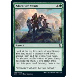 画像1: 【ENG】待ち受ける冒険/Adventure Awaits[MTG_ZNR_177C]