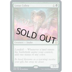 画像1: 【ENG】水蓮のコブラ/Lotus Cobra[MTG_ZNR_193R]