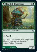 【ENG】絡みつく花面晶体/絡み谷/Tangled Florahedron/Tangled Vale[MTG_ZNR_211U]