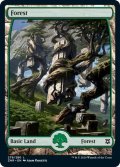 【ENG】森/Forest[MTG_ZNR_279L]