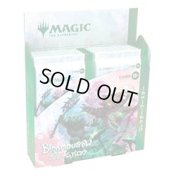 画像1: MAGIC The Gathering　ブルームバロウ　コレクター・ブースター　日本語(1BOX・12パック入)[新品商品]