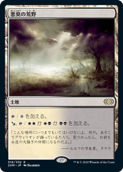 画像1: 【JPN】悪臭の荒野/Fetid Heath[MTG_2XM_316R] (1)