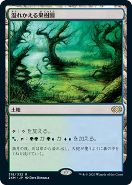 画像1: 【JPN】溢れかえる果樹園/Flooded Grove[MTG_2XM_318R] (1)