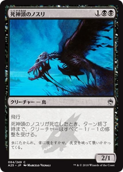 画像1: 【JPN】死神頭のノスリ/Death's-Head Buzzard[MTG_A25_084C] (1)