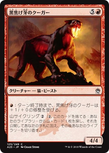 画像1: 【JPN】黒焦げ牙のクーガー/Chartooth Cougar[MTG_A25_125C] (1)