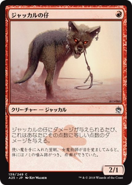 画像1: 【JPN】ジャッカルの仔/Jackal Pup[MTG_A25_139C] (1)