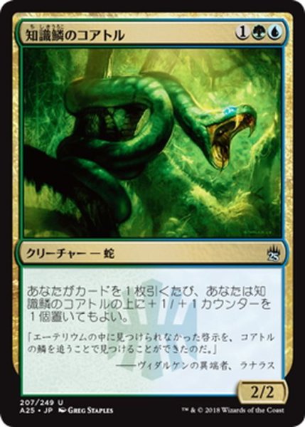 画像1: 【JPN】知識鱗のコアトル/Lorescale Coatl[MTG_A25_207U] (1)