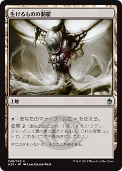 画像1: 【JPN】生けるものの洞窟/Zoetic Cavern[MTG_A25_249U] (1)