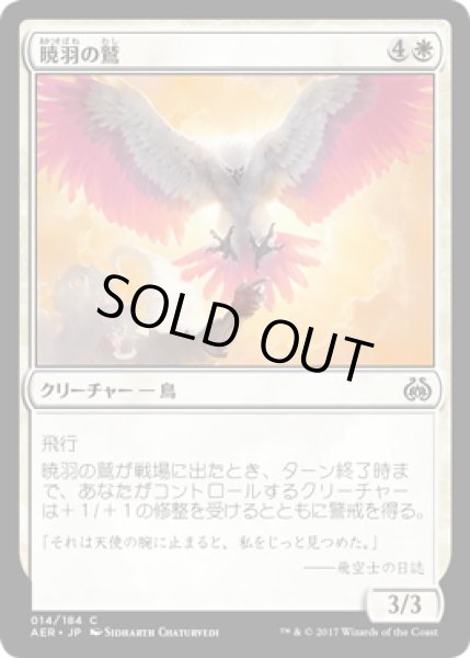 画像1: 【JPN】暁羽の鷲/Dawnfeather Eagle[MTG_AER_014C] (1)