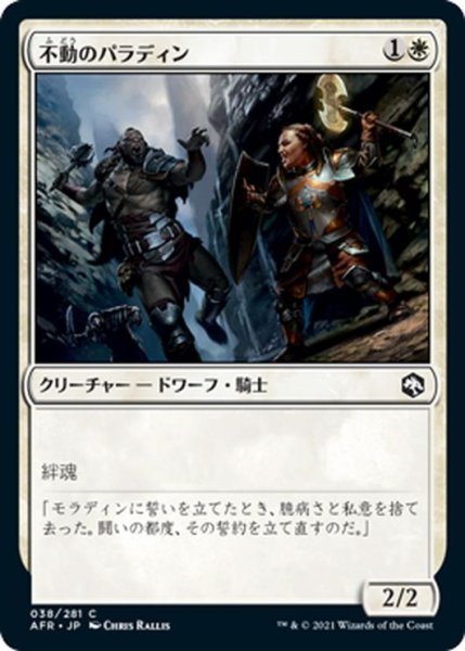 画像1: 【JPN】不動のパラディン/Steadfast Paladin[MTG_AFR_038C] (1)