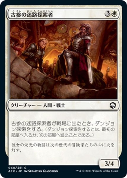 画像1: 【JPN】古参の迷路探索者/Veteran Dungeoneer[MTG_AFR_040C] (1)