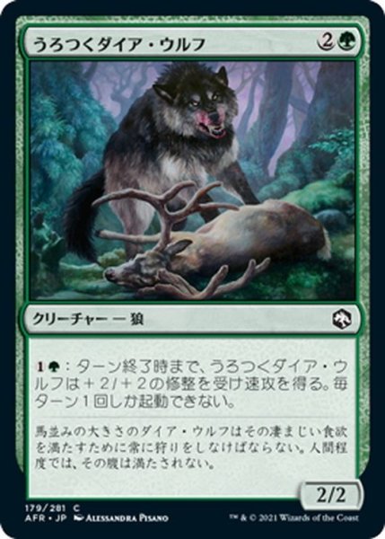 画像1: 【JPN】うろつくダイア・ウルフ/Dire Wolf Prowler[MTG_AFR_179C] (1)