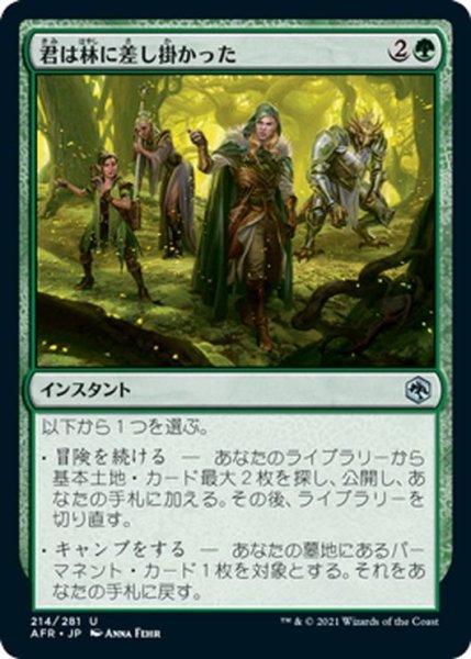 画像1: 【JPN】君は林に差し掛かった/You Happen On a Glade[MTG_AFR_214U] (1)