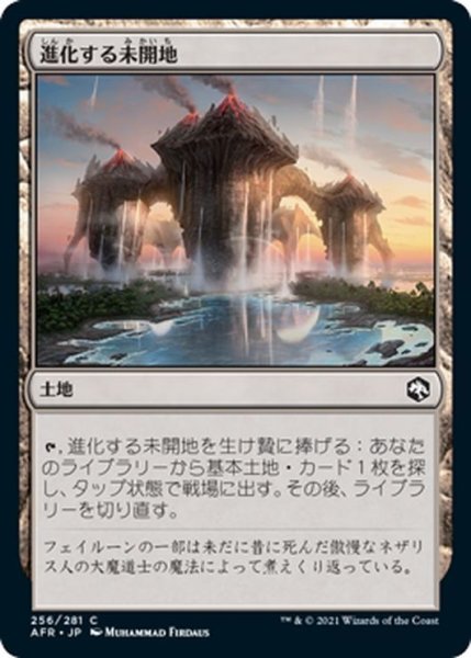 画像1: 【JPN】進化する未開地/Evolving Wilds[MTG_AFR_256C] (1)