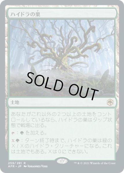 画像1: 【JPN】ハイドラの巣/Lair of the Hydra[MTG_AFR_259R] (1)