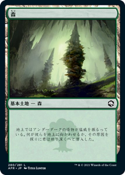 画像1: 【JPN】森/Forest[MTG_AFR_280L] (1)