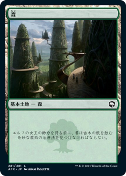 画像1: 【JPN】森/Forest[MTG_AFR_281L] (1)